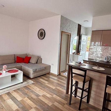 Apartmani Jovan 울친 외부 사진