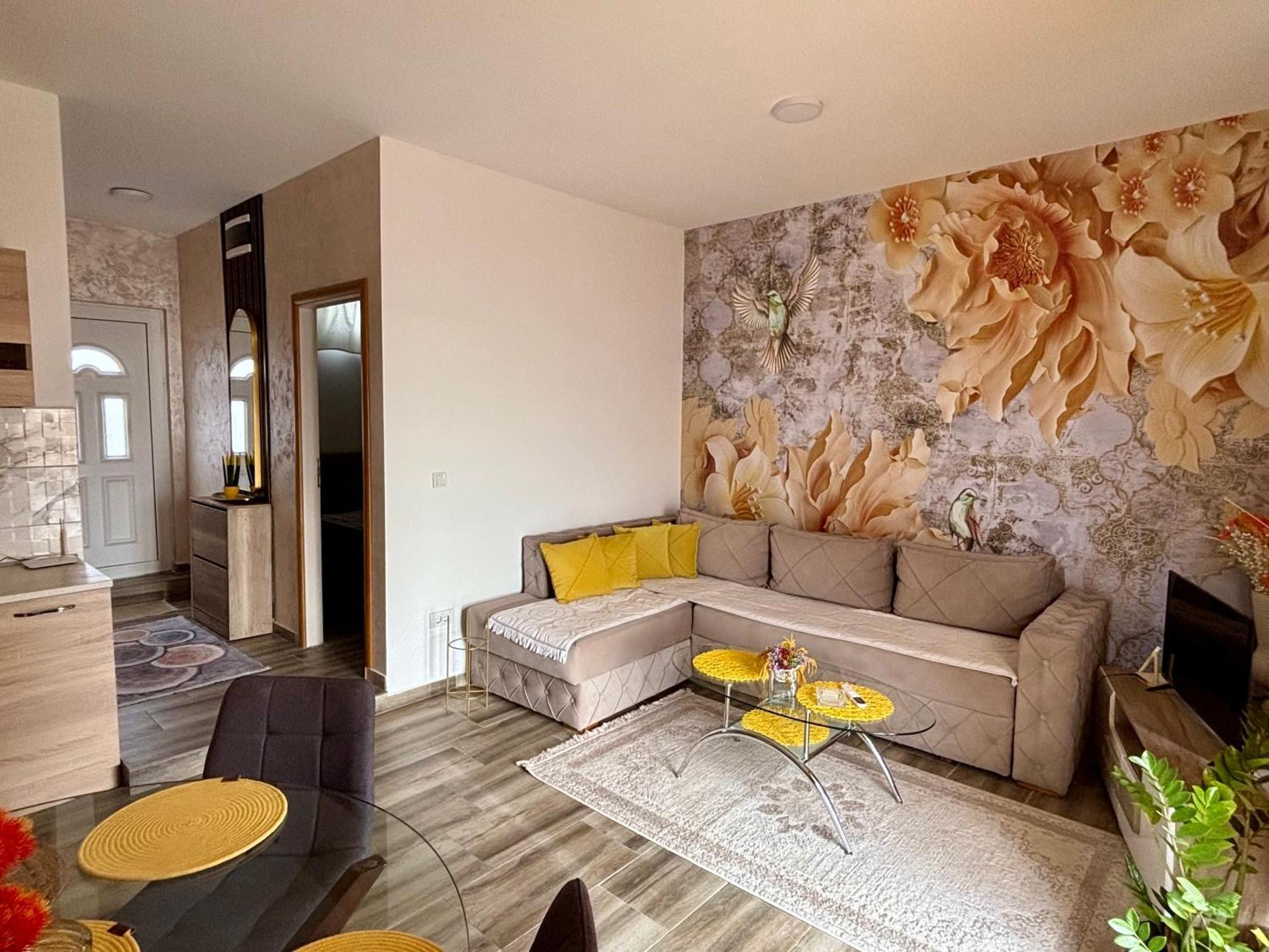 Apartmani Jovan 울친 외부 사진